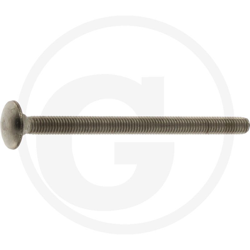 Schlossschraube,DIN603,V2A,M05x070,VE:1